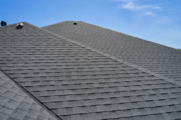 Best Rubber Roofing (EPDM, TPO)  in Lumbine Valley, CO